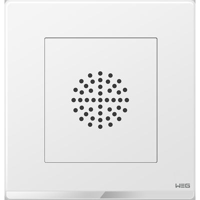 Incavo fissato al muro d'acciaio della spina del piatto W7SG 250V 10A dell'anti ruggine spessa