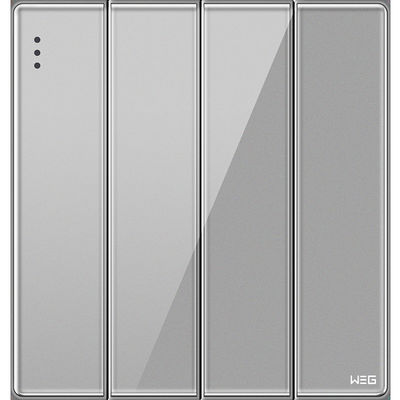 Presa a muro elettrica d'argento di Gray Standard 10A W84Q/2Y della sella della lega